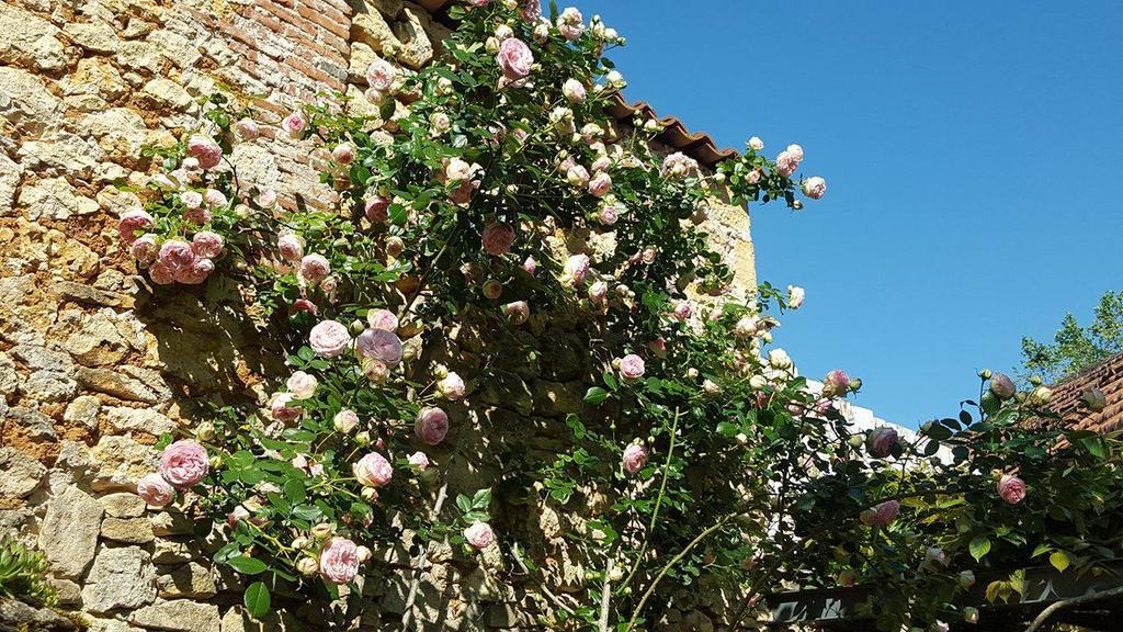 Le Clos Des Songes Saint-Leon-sur-Vezere Esterno foto